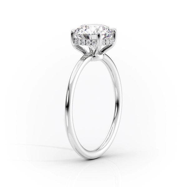 The Low Profile Kamellie Set With A 2.5 Carat Oval Lab Diamond Online Hot Sale