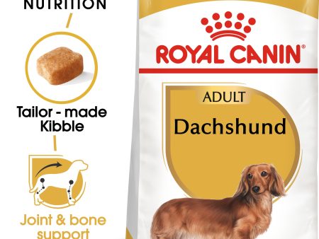 Breed Health Nutrition Dachshund Adult 1.5 KG Online now