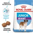 Size Health Nutrition Giant Junior 15 KG Online now