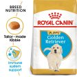 Breed Health Nutrition Golden Retriever Jr 12 KG Online Sale