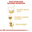 Breed Health Nutrition Golden Retriever 12 KG Discount