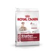 Size Health Nutrition Medium Starter 4 KG Online now