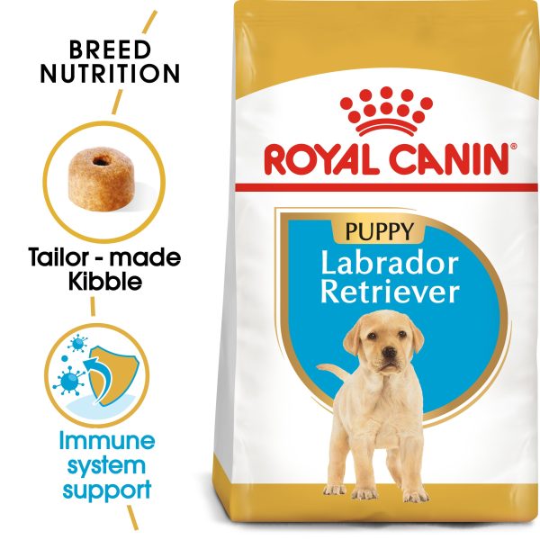 Breed Health Nutrition Labrador Junior 12 KG Sale